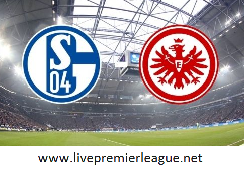 schalke vs frankfurt