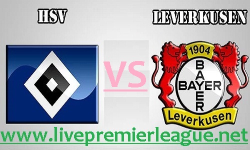 hamburger vs bayer