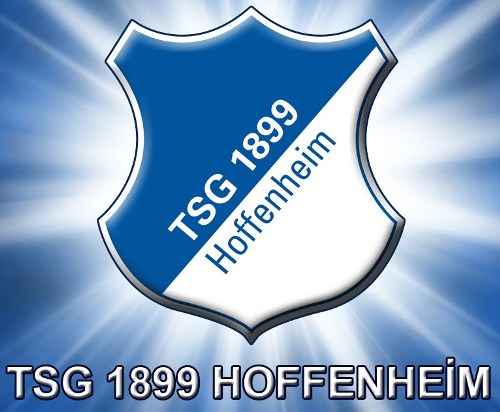 Hoffenheim logo