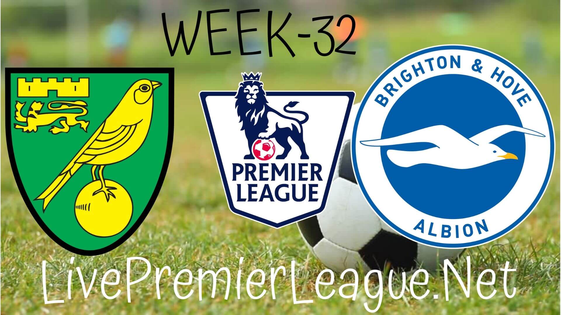 Norwich City Vs Brighton and Hove Albion Live Stream | EPL Week 33