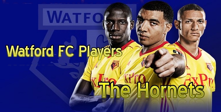 Watford 2019 Live Stream