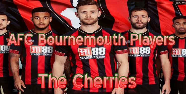 AFC Bournemouth 2019 Live Stream