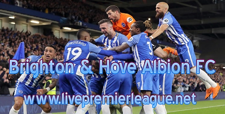 brighton-and-hove-albion-2019-live-stream