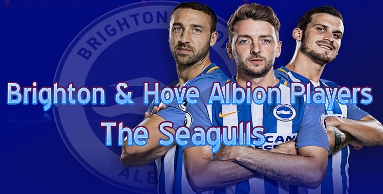 http://www.livepremierleague.net/album/2019/01/04/Brighton-and-Hove-Albion-players.jpg
