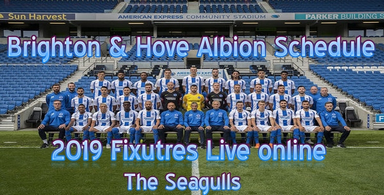 http://www.livepremierleague.net/album/2019/01/04/Brighton-and-Hove-Albion-schedule.jpg