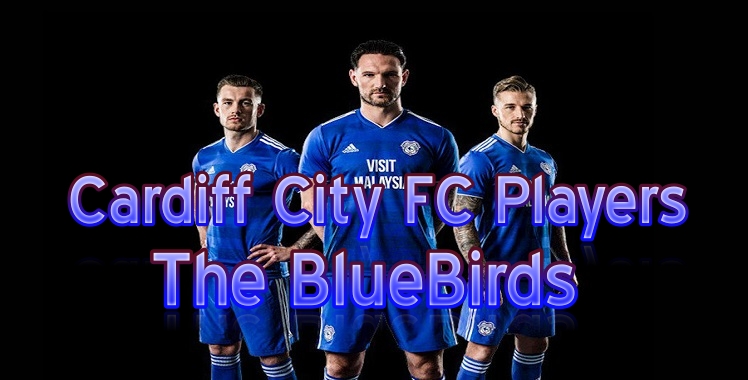 Cardiff City 2019 Live Stream