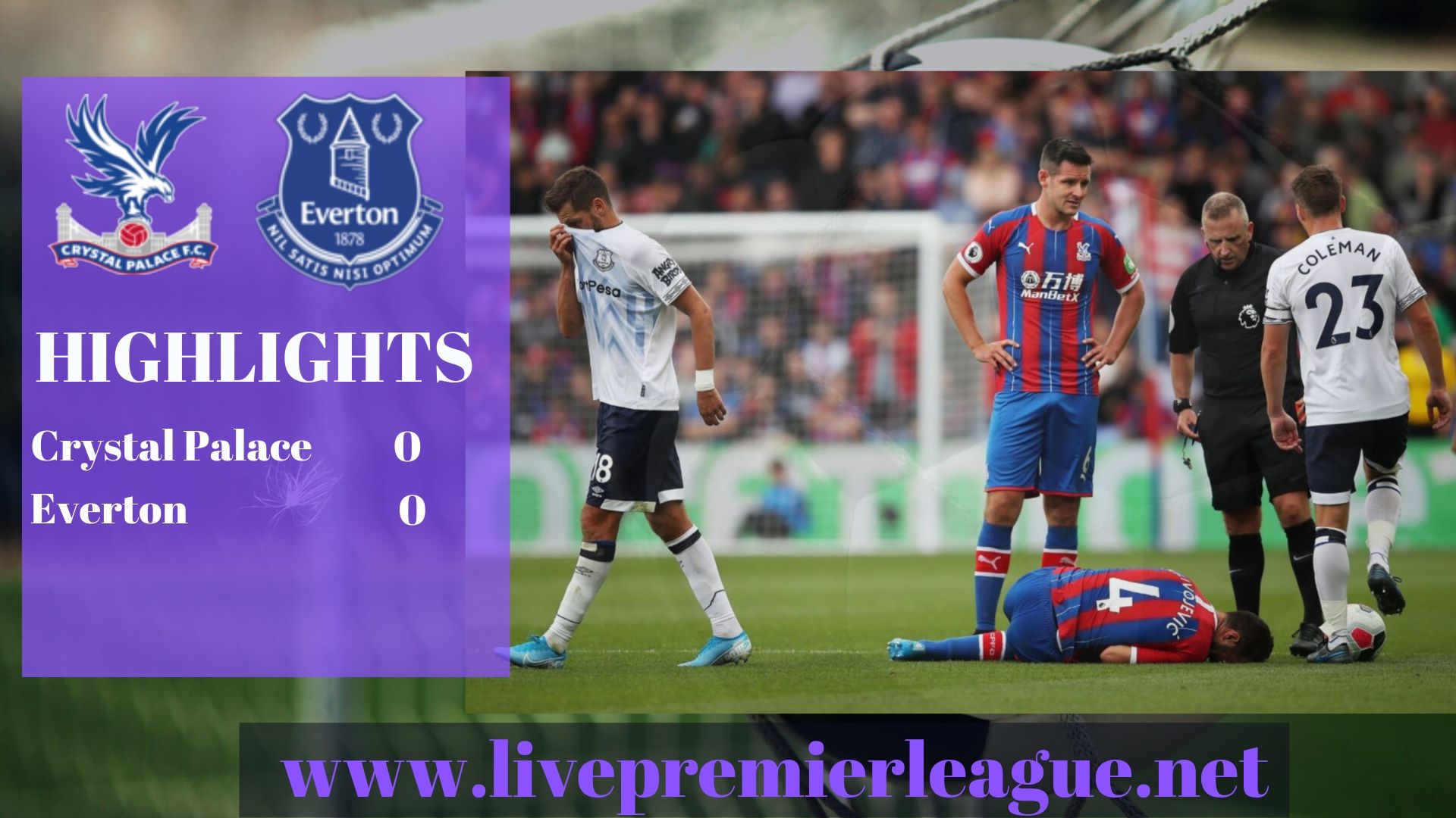 Crystal Palace Vs Everton 2019 Premier League Highlights