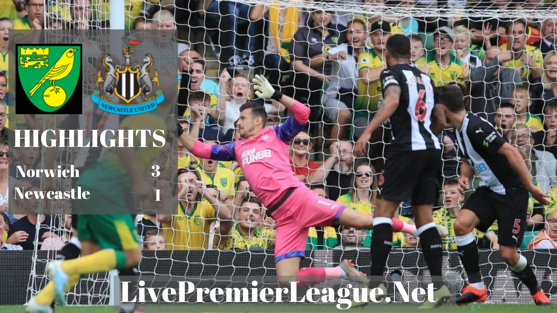 Norwich Vs Newcastle 2019 Premier League Highlights