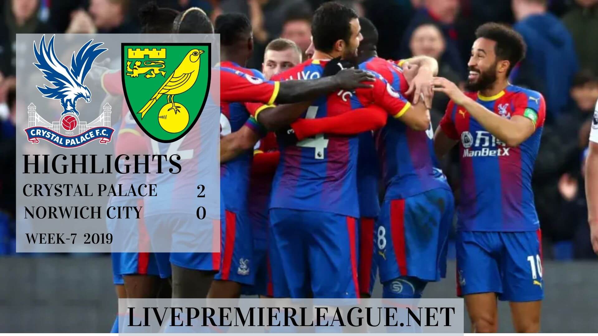 Crystal Palace vs Norwich City Highlights 2019 Week 7