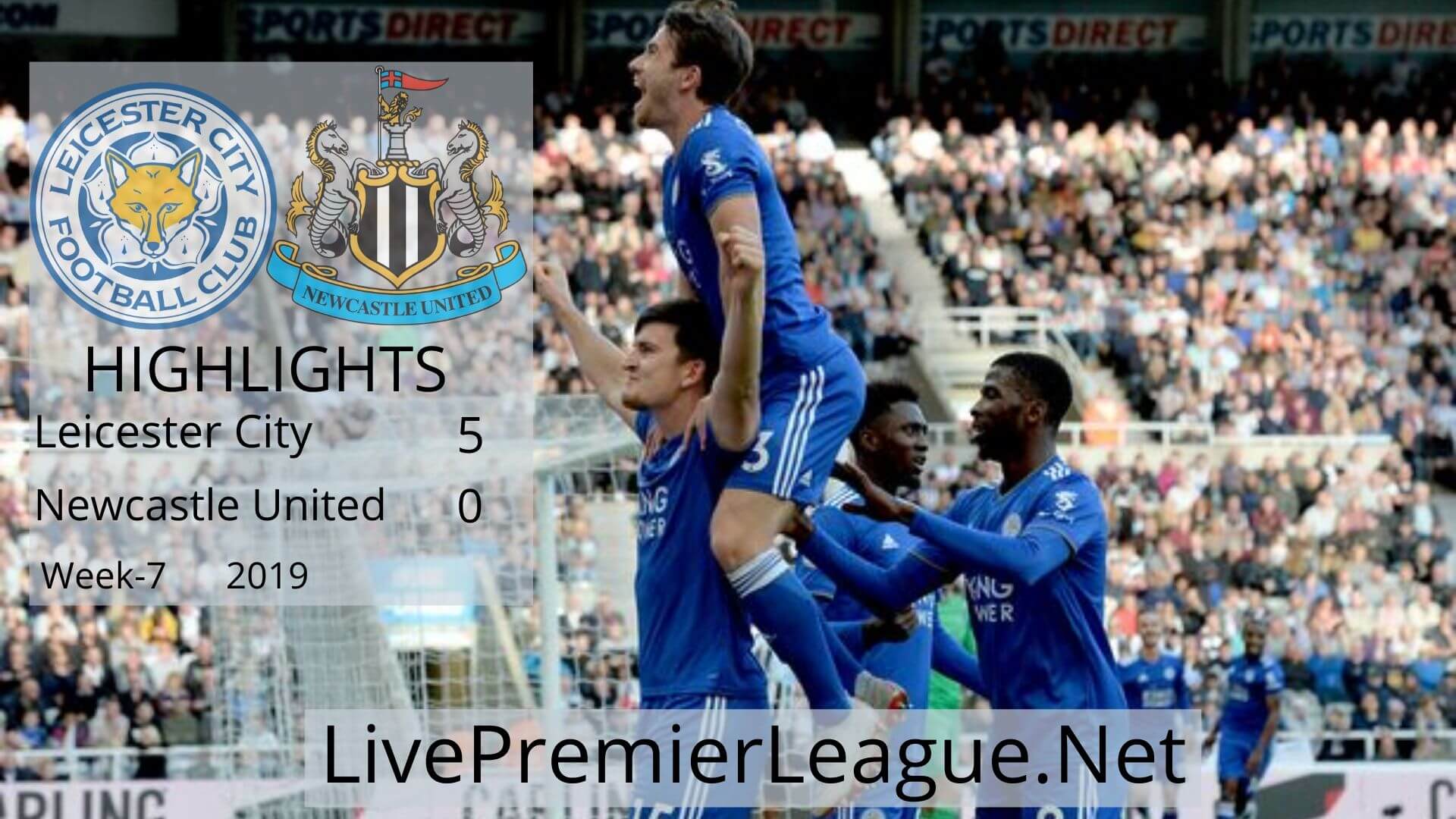 Leicester city vs Newcastle United Highlights 2019 Week 7