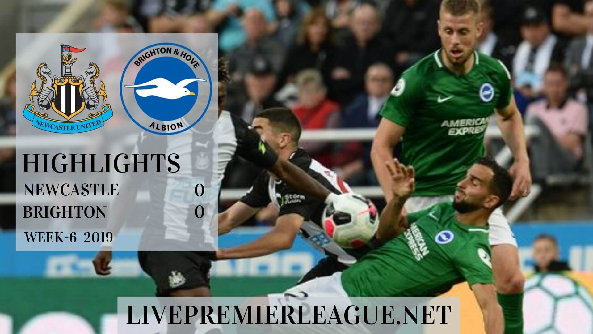 Newcastle United vs Brighton Highlights 2019 Week 6