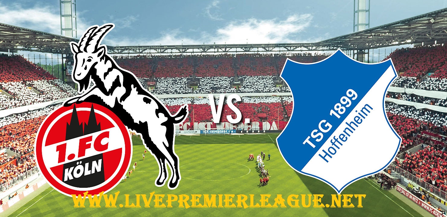 Live football match Hoffenheim vs Koln