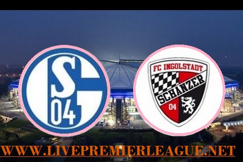 schalke vs ingolstadt live