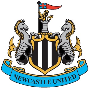 new castle