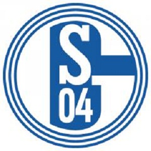 shalke 04