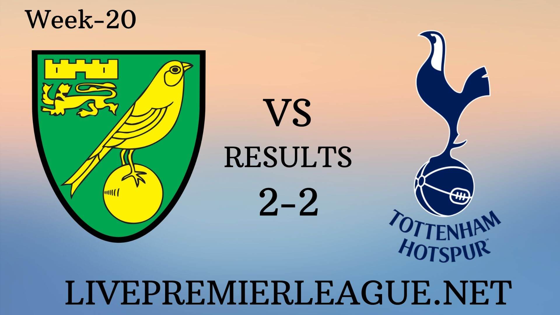 Norwich City Vs Tottenham Hotspur | Week 20 Results 2019