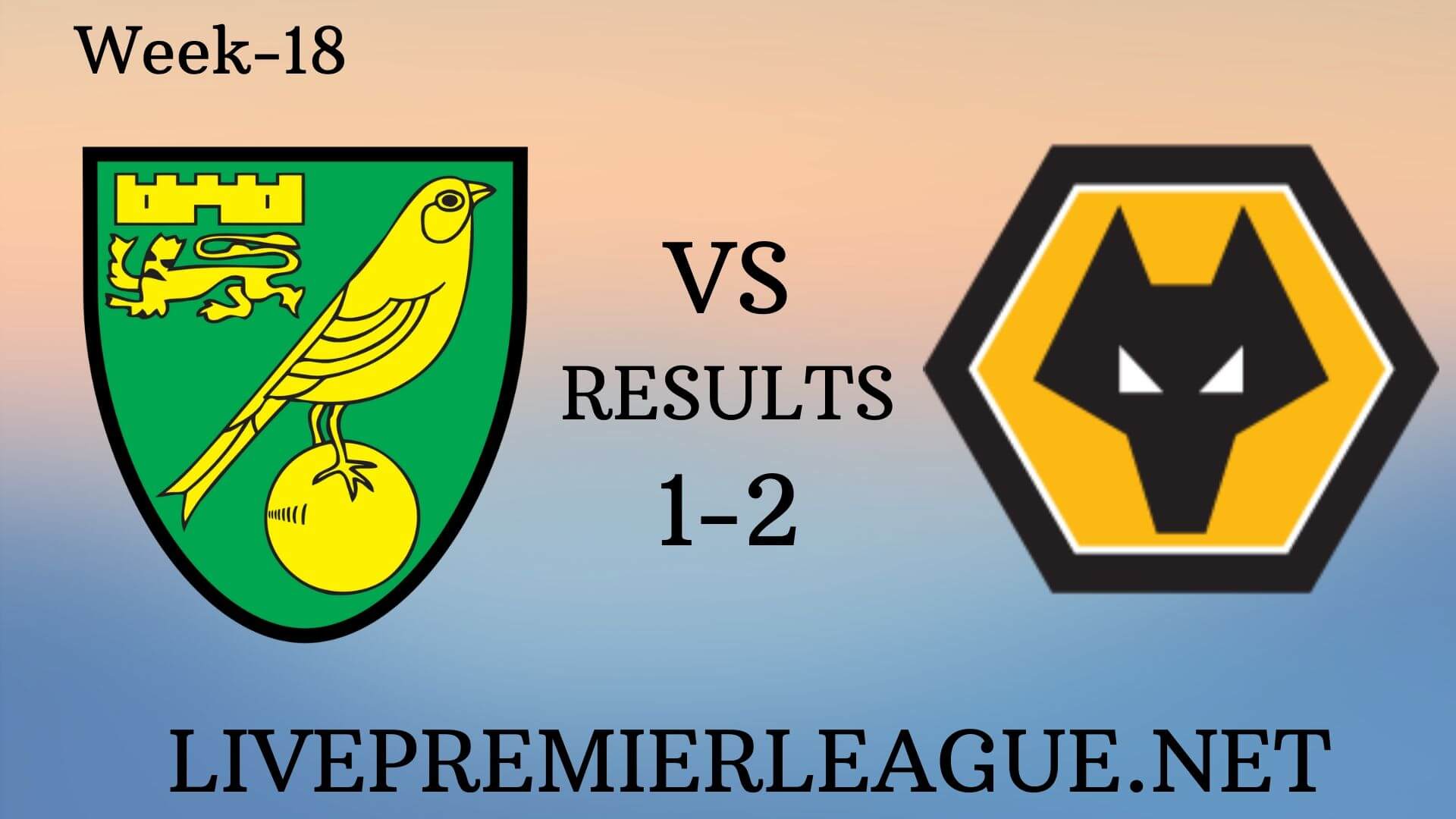 Norwich City Vs Wolverhampton Wanderers | Week 18 Result 2019